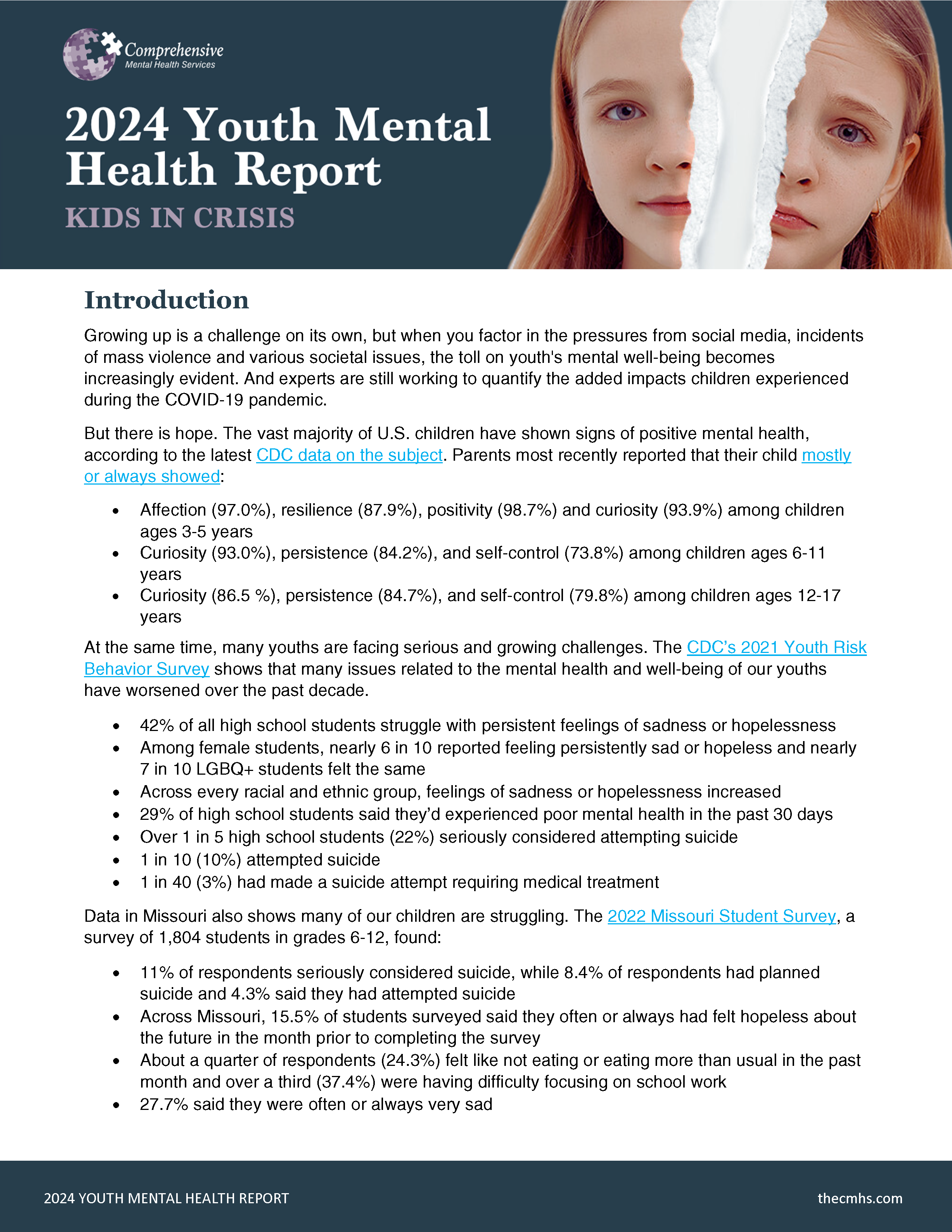 2024 Mental Health Report